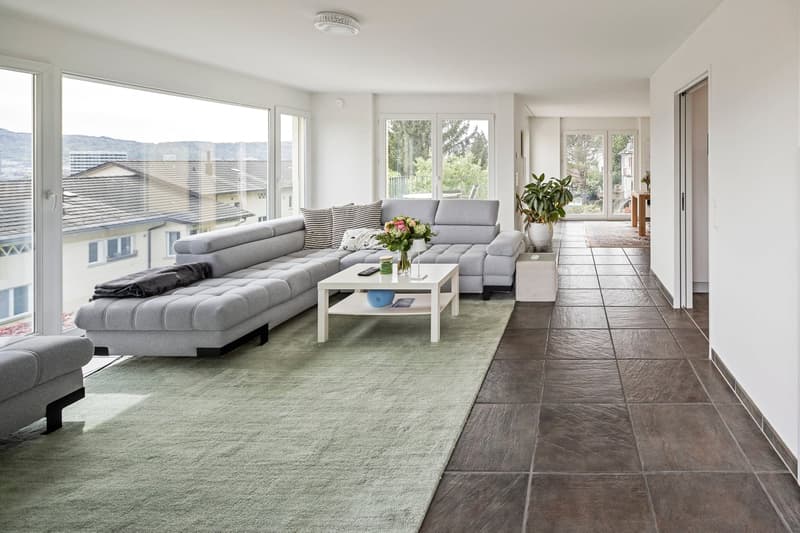 Exklusiv über den Dächern von Zürich: Privatsphäre trifft Skyline (8)