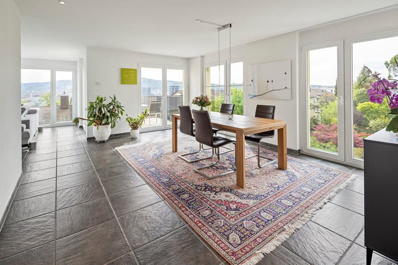 Exklusiv über den Dächern von Zürich: Privatsphäre trifft Skyline (9)
