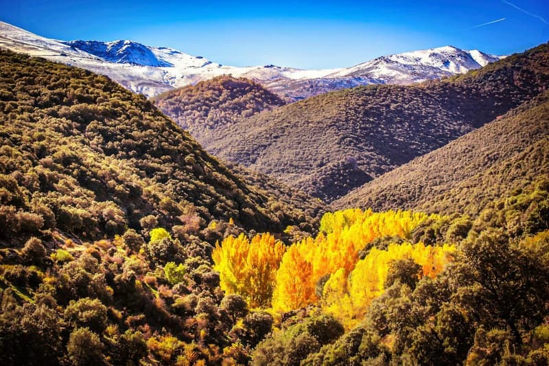 Sierra Nevada