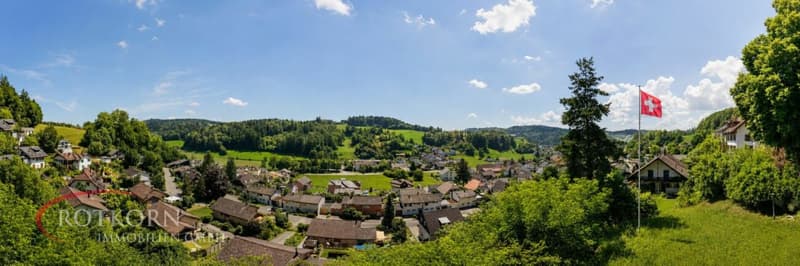 Maison de campagne de 7,5 pièces à Teufenthal (3)