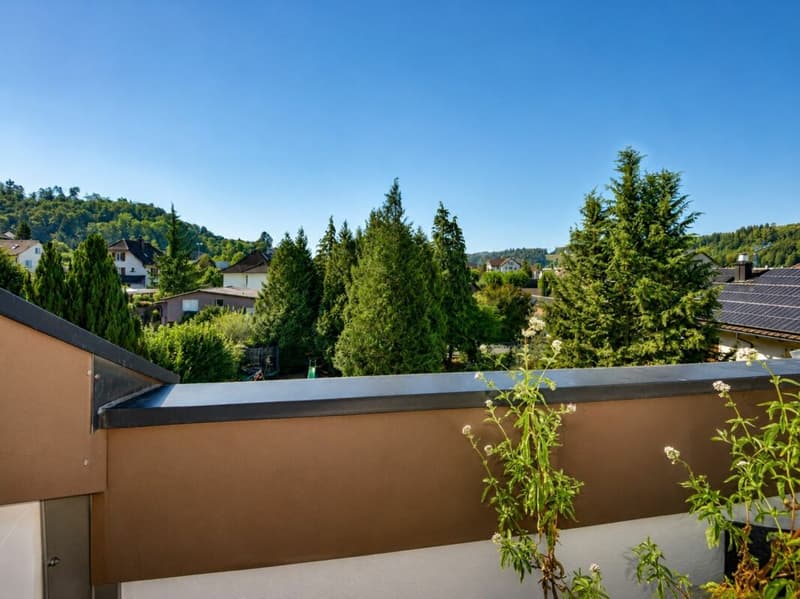 Stilvolle 3½-Zimmer-Wohnung mit Charme und Atmosphäre (1)