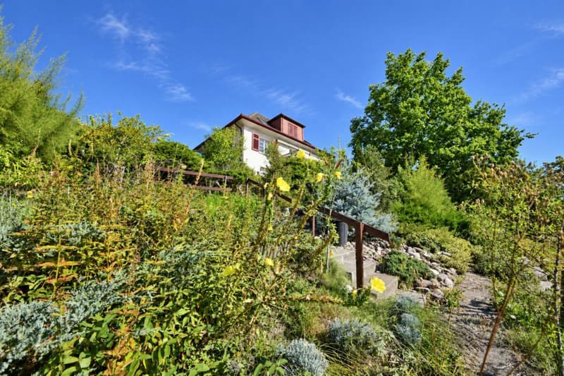Wohnidylle im Grünen (31)