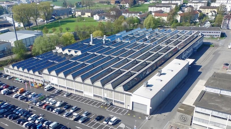 Approx. 1'350m2 to 1'650m2 of commercial, industrial and storage space (1)