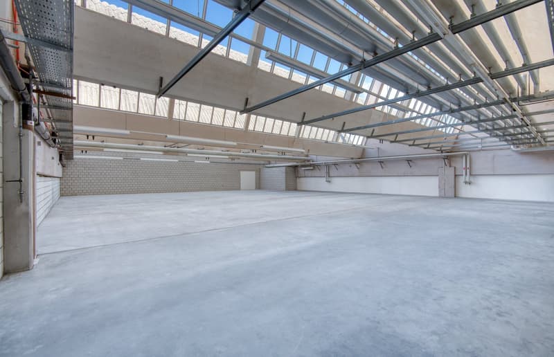 Industrial, commercial or storage space with plenty of daylight (1)