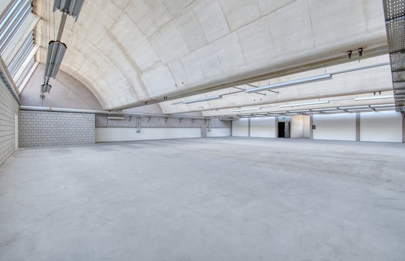 Industrial, commercial or storage space with plenty of daylight (2)