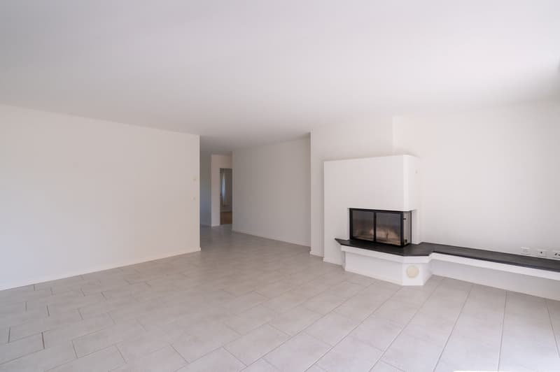Appartamento di 4,5 locali luminoso con balcone a sud in una zona residenziale popolare (3)