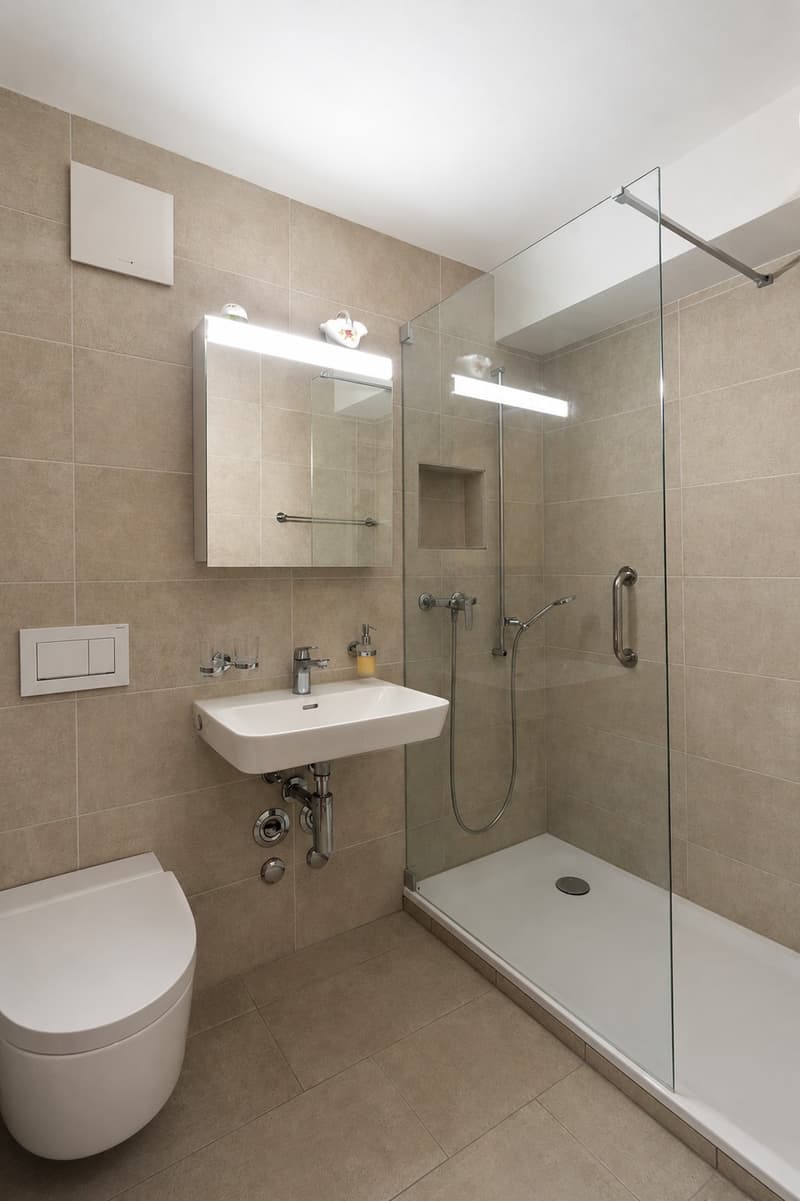 Appartement central de 3,5 pièces avec vue loin (8)