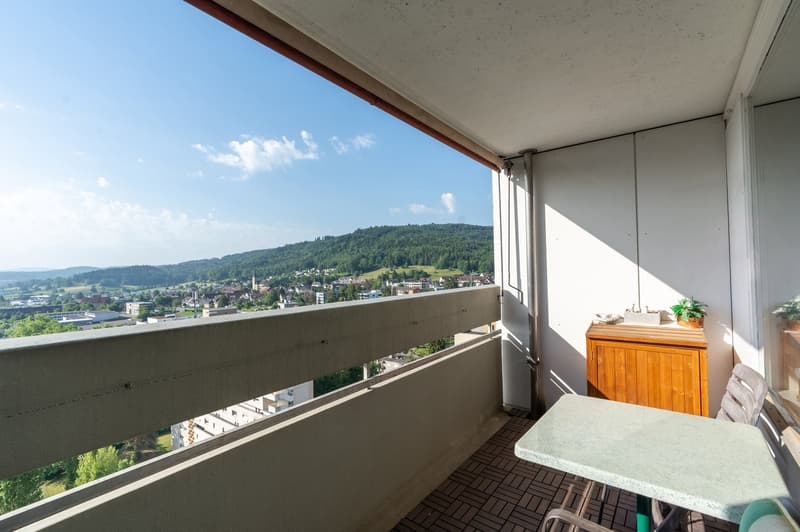 Appartement central de 3,5 pièces avec vue loin (12)