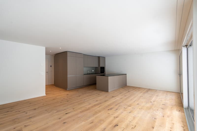 Modern and bright 4.5-room apartment (2)