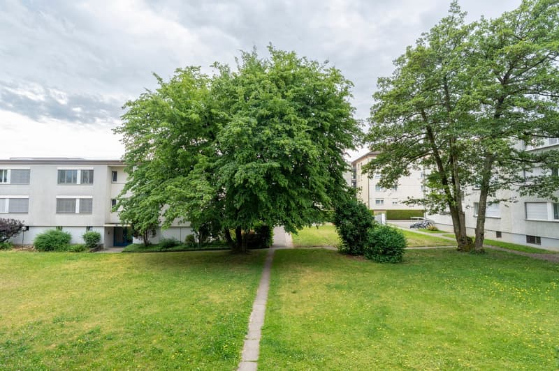 Vollvermietetes Mehrfamilienhaus an zentraler Wohnlage in Dübendorf (9)