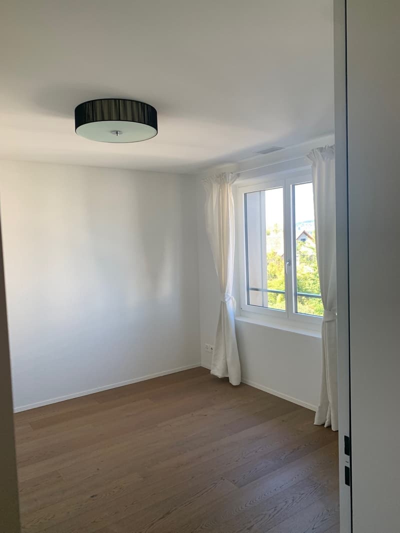 Moderne Wohnung an zentraler Lage - nur wenige Schritte vom See entfernt (5)