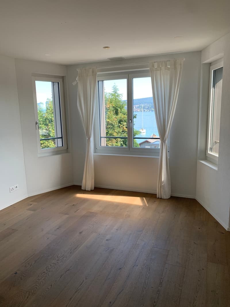 Moderne Wohnung an zentraler Lage - nur wenige Schritte vom See entfernt (6)