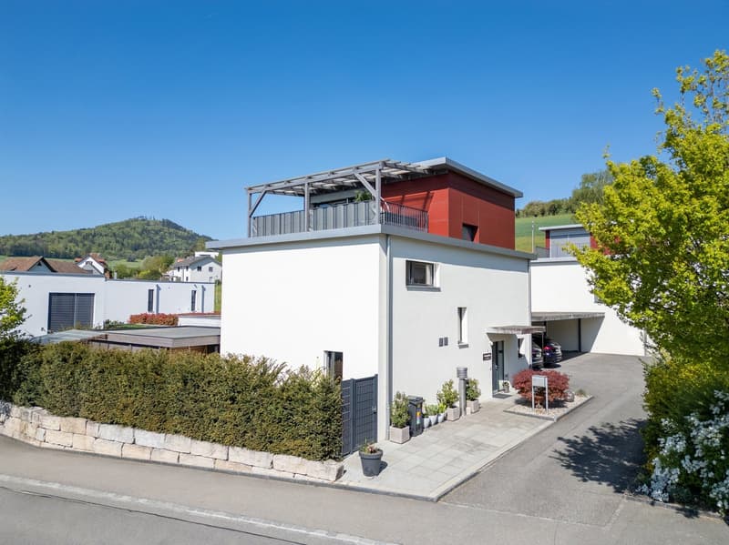 Luxuriöses Einfamilienhaus mit privater Garten-Oase und Pool (23)