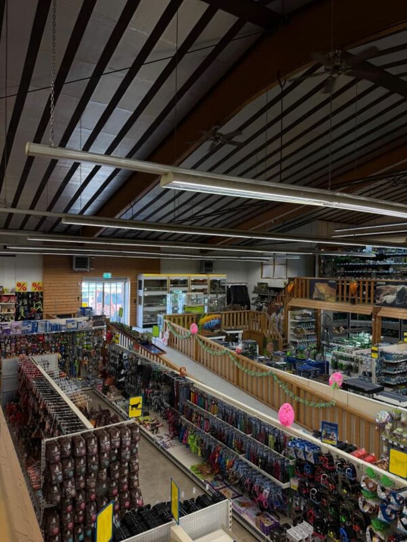 800 m2 Sales or Commercial Space in the Dietikon Industrial Area (4)