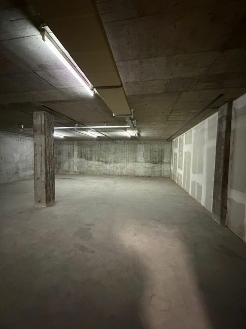 Locali di stoccaggio al 1° piano interrato con rampa diretta & ascensore merci di grandi dimensioni in affitto (3)