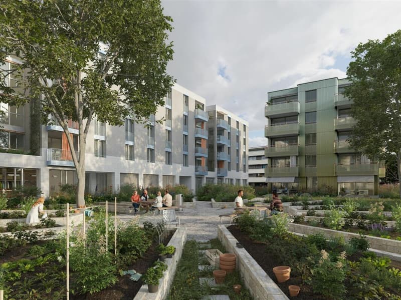 Nouvel appartement 3,5 pièces - Concept de vie durable et moderne copie (3)