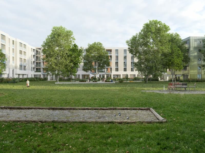 Nouveau bâtiment 2,5 pièces - Concept de vie durable et moderne (5)