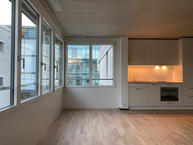 Modern studio apartment in a central location (4)