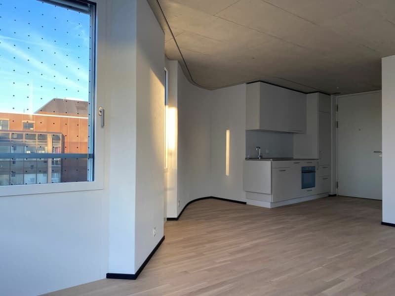 Modern studio apartment in a central location (3)