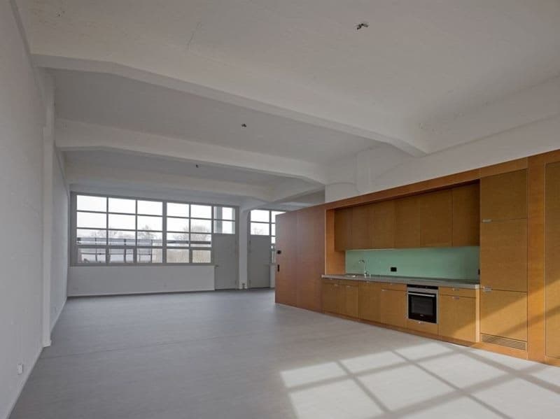 Trendy cool loft with 127m2 (2)