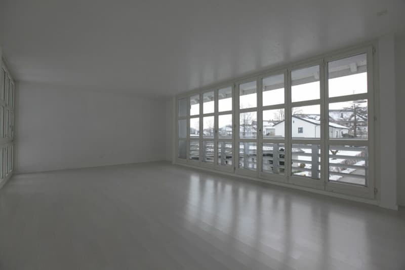 Einzigartige 5.5-Zimmer Maisonette im historischen Klostergut (7)