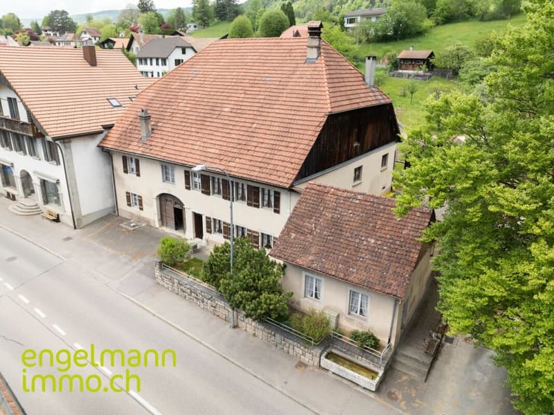 Ancienne ferme de 2 appartements avec grand terrain constructible / Ehemaliges Bauernhaus mit 2 Wohnungen und Bauparzelle (1)