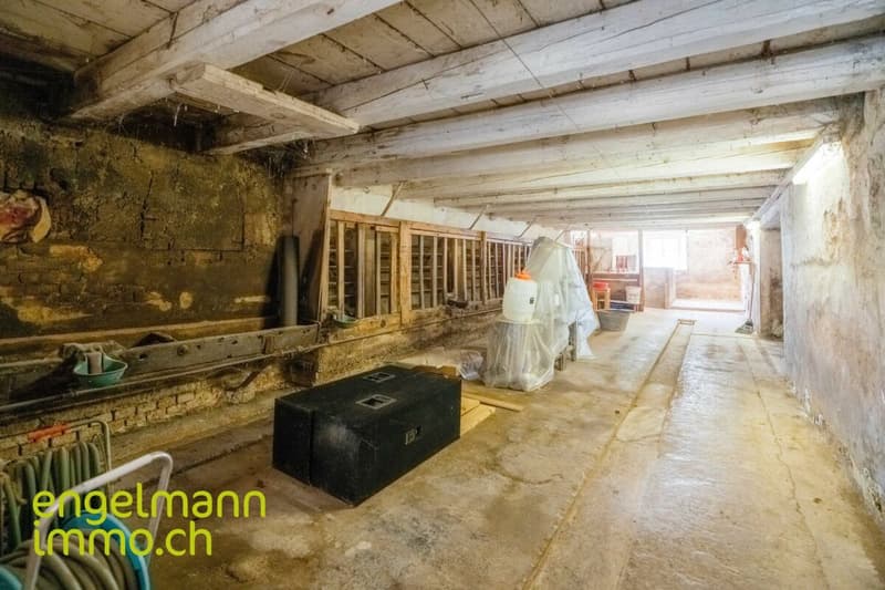Ancienne ferme de 2 appartements avec grand terrain constructible / Ehemaliges Bauernhaus mit 2 Wohnungen und Bauparzelle (13)