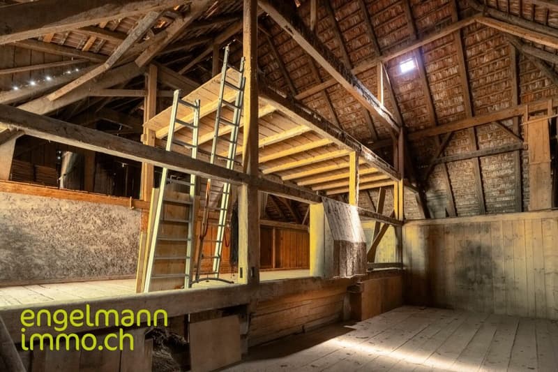 Ancienne ferme de 2 appartements avec grand terrain constructible / Ehemaliges Bauernhaus mit 2 Wohnungen und Bauparzelle (12)
