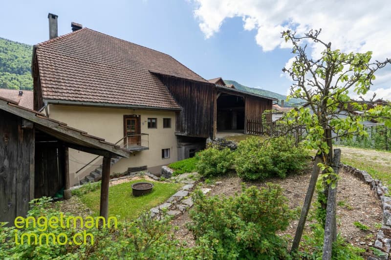Ancienne ferme de 2 appartements avec grand terrain constructible / Ehemaliges Bauernhaus mit 2 Wohnungen und Bauparzelle (3)