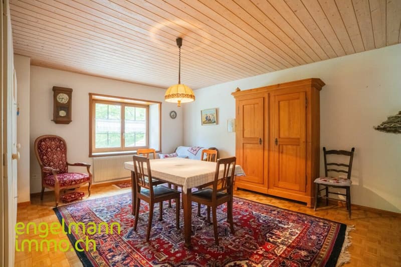 Ancienne ferme de 2 appartements avec grand terrain constructible / Ehemaliges Bauernhaus mit 2 Wohnungen und Bauparzelle (11)