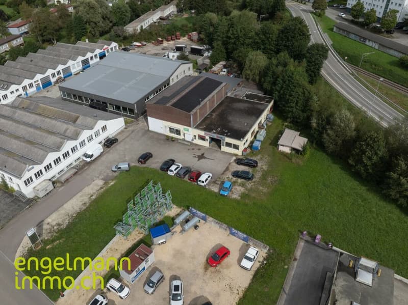 Immeuble industriel / Industrieflächen (1)