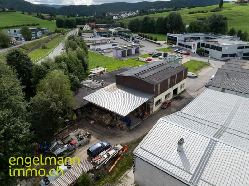 Immeuble industriel / Industrieflächen (3)