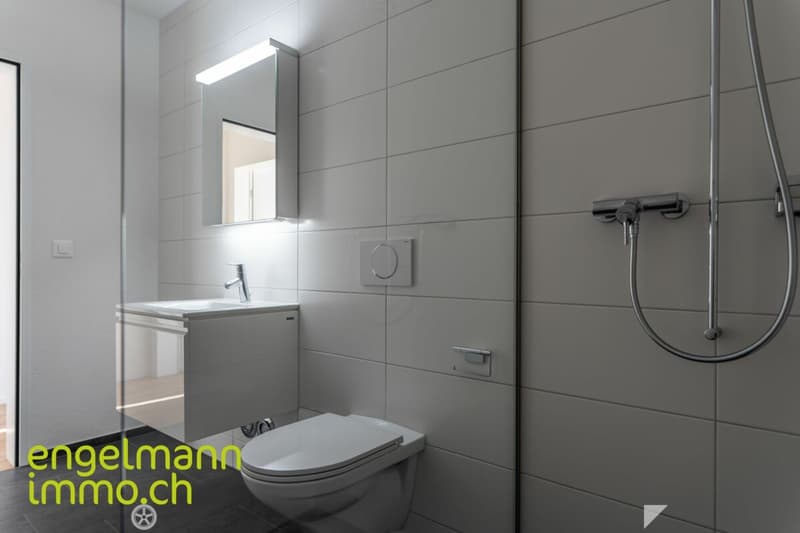 3.5 Zimmerwohnung / Appartement de 3.5 pièces (6)