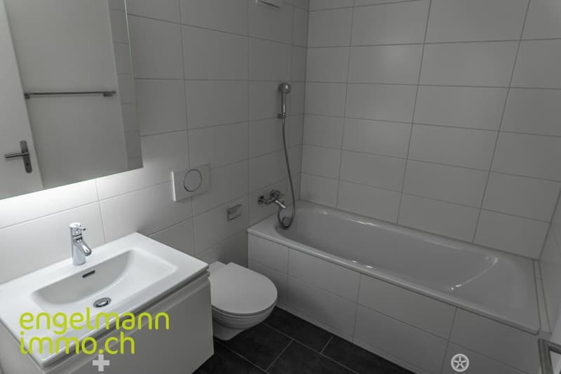 3.5 Zimmerwohnung / Appartement de 3.5 pièces (5)