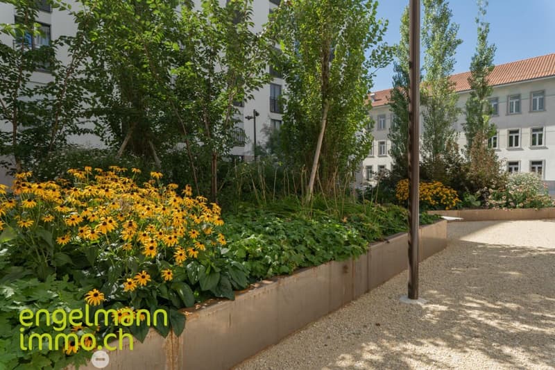 3.5 Zimmerwohnung / Appartement de 3.5 pièces (7)