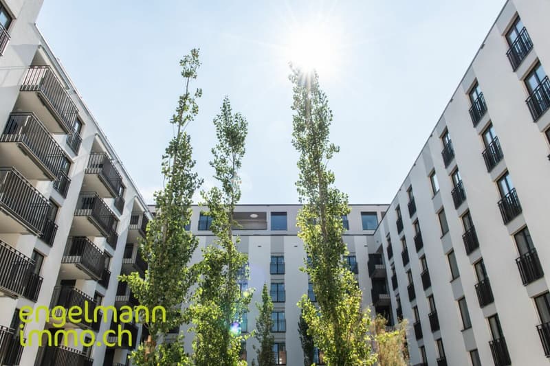 3.5 Zimmerwohnung / Appartement de 3.5 pièces (8)