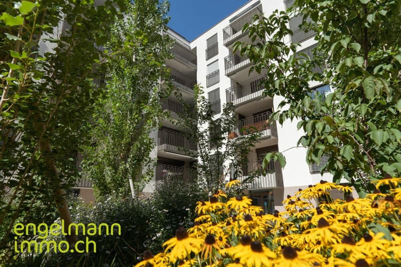 3.5 Zimmerwohnung/ Appartement de 3.5 pièces (10)