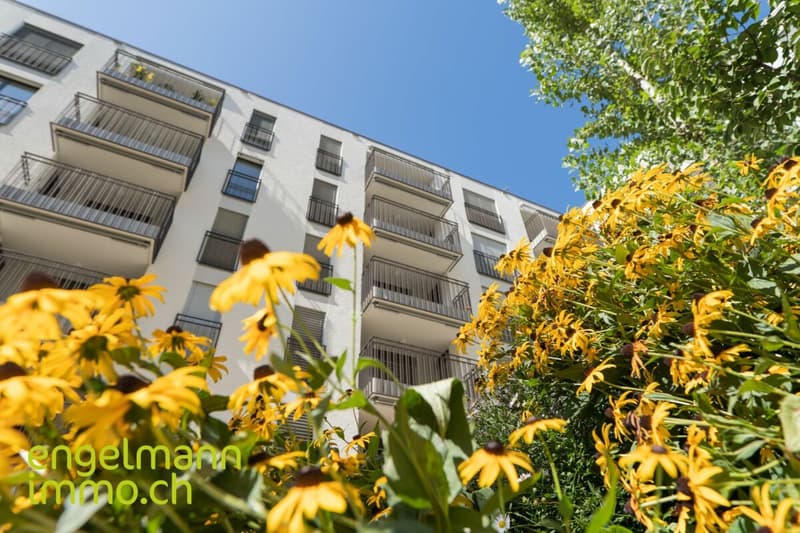3.5 Zimmerwohnung/ Appartement de 3.5 pièces (8)