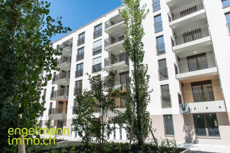 3.5 Zimmerwohnung/ Appartement de 3.5 pièces (9)