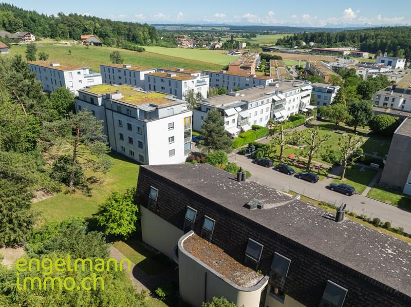 Apparement de 3.5 pièces / 3.5 Zimmerwohnung (17)