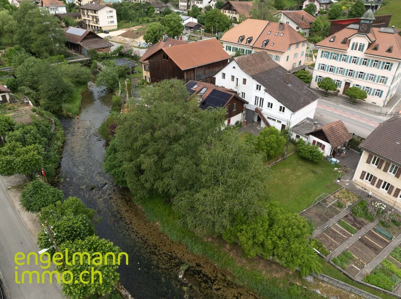 Immeuble de 2 appartements + surface commerciale / 2-Familienhaus mit Geschäftsfläche (4)