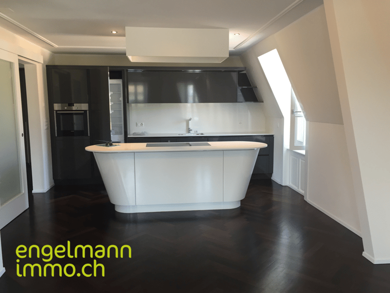3.5 Zimmerwohnung / Appartement de 3.5 pièces (3)
