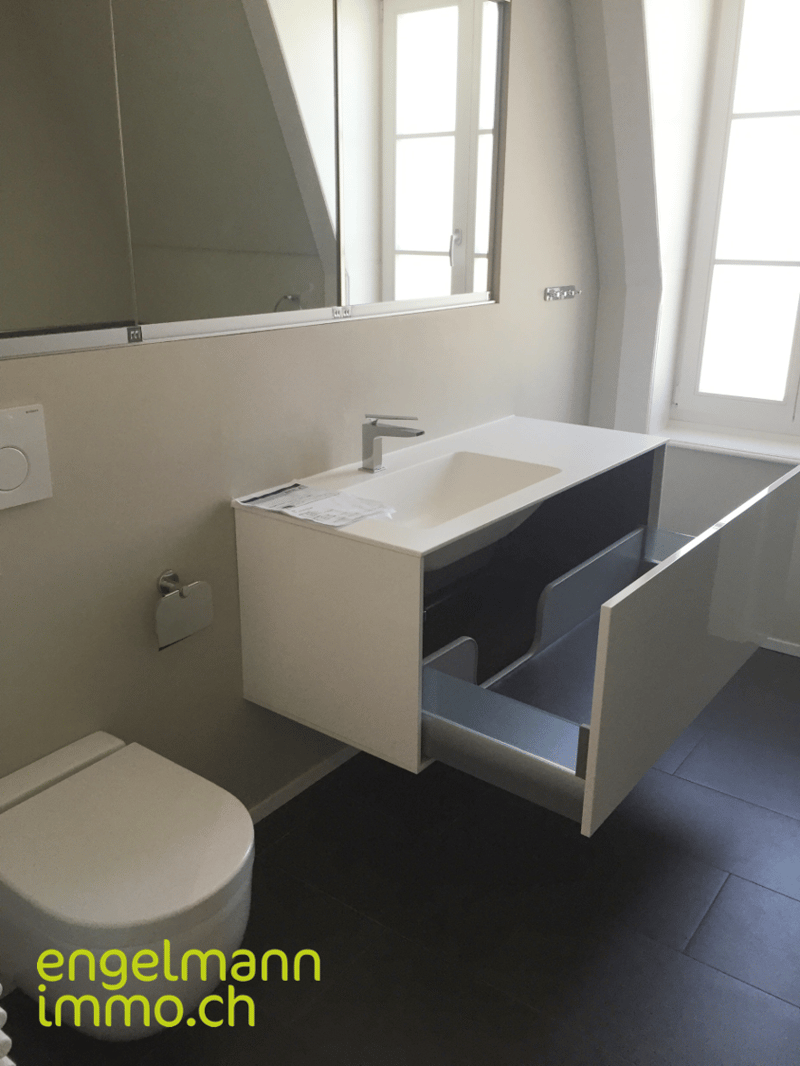 3.5 Zimmerwohnung / Appartement de 3.5 pièces (6)