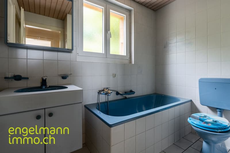 Maison familiale / Einfamilienhaus (14)