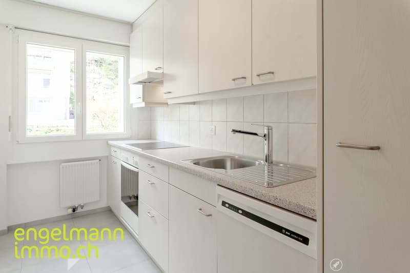 5 Zimmerwohnung / Appartements de 5 pièces (4)