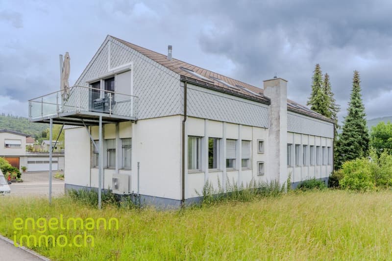 Objet de placement: locaux commerciaux, garage et atelier / Renditeobjekt: Geschäftsräume, Garage und Atelier (3)