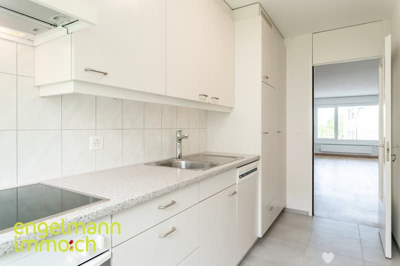 5 Zimmerwohnung / Appartements de 5 pièces (5)