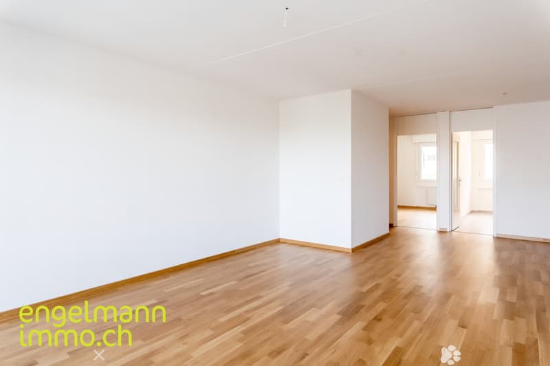 5 Zimmerwohnung / Appartements de 5 pièces (2)