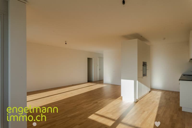 3.5 Zimmerwohnung / Appartement de 3.5 pièces (1)