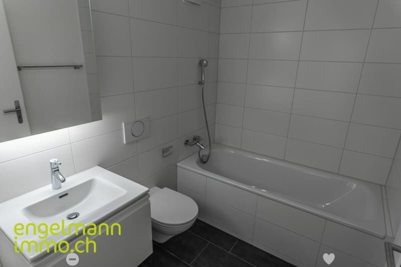 3.5 Zimmerwohnung / Appartement de 3.5 pièces (5)